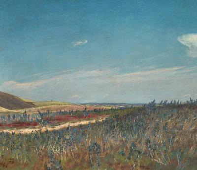 L. A. Ring. Mark med blomstrende slangehoveder. Frederiksværk, 1901