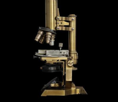 Nicolai Howalt. Microscope No. 1, 2020
