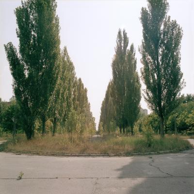 Billede til beviling med id: 38720