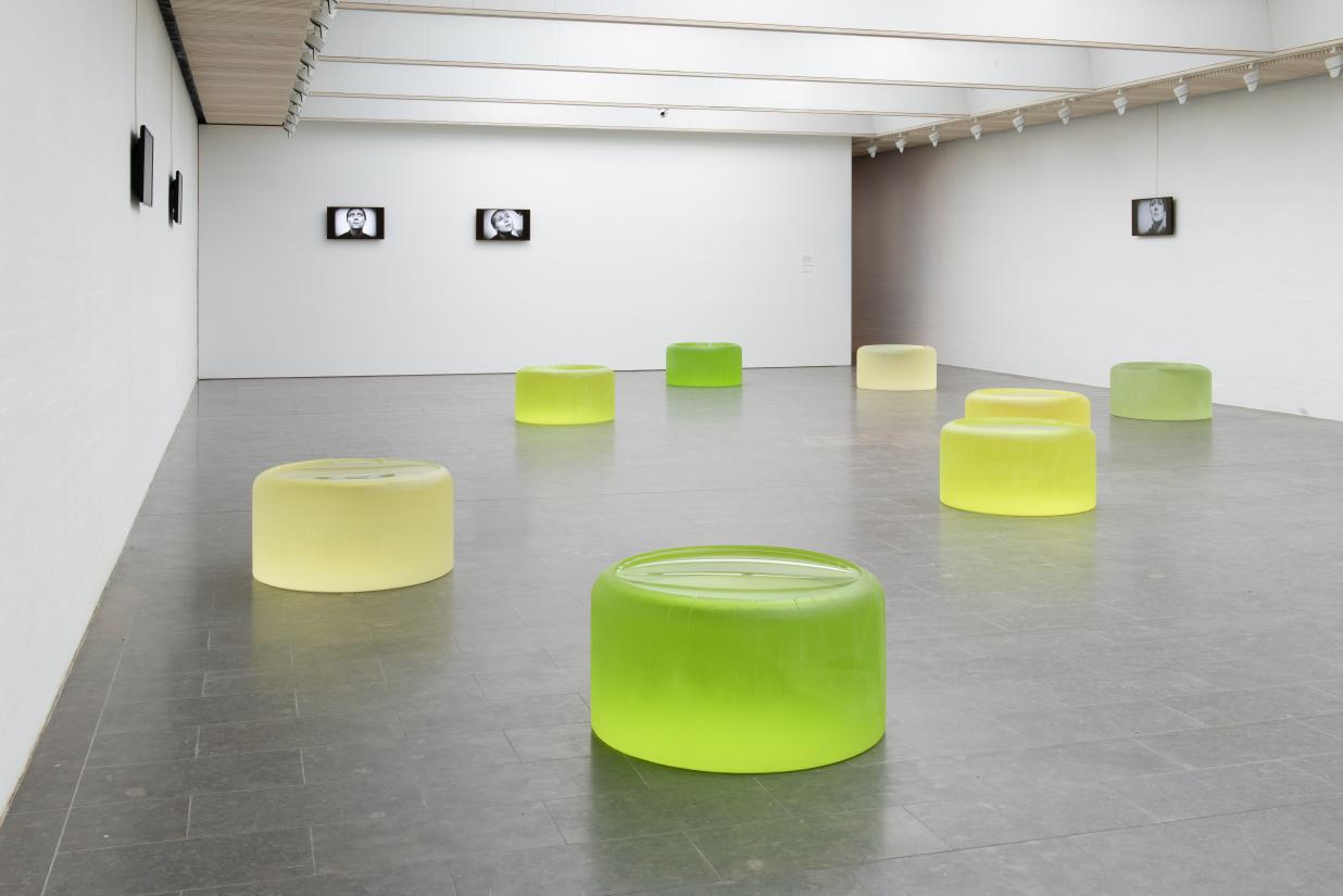 Roni Horn (1)