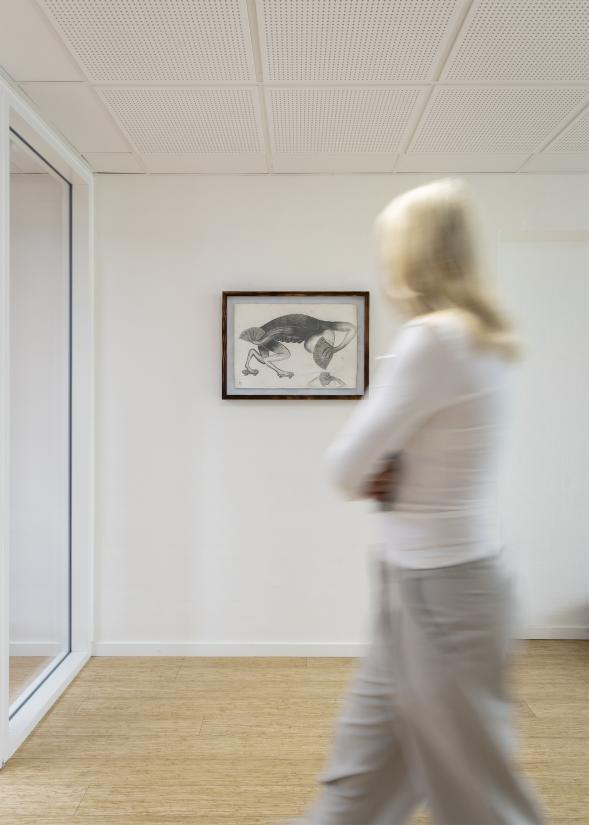 Silas Inoue – Kalundborg Gymnasium NCF 10