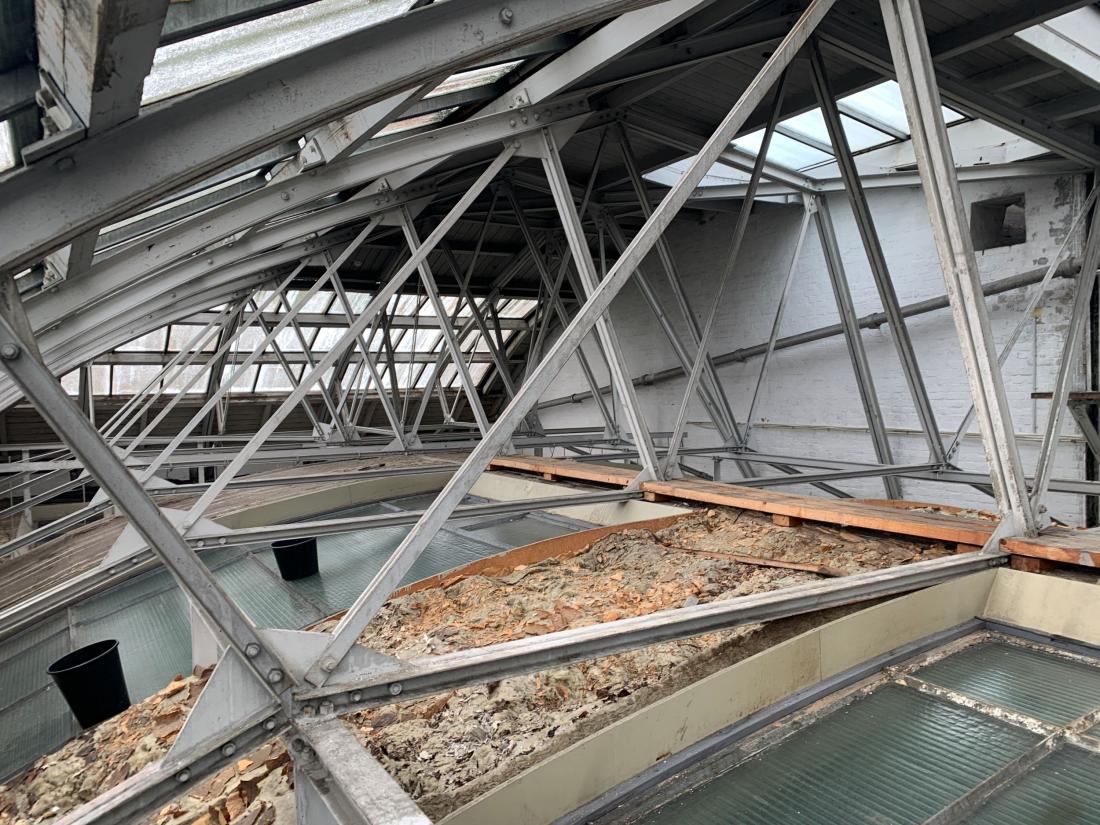 Vandindtrængning i tagkonstruktion, Glyptoteket