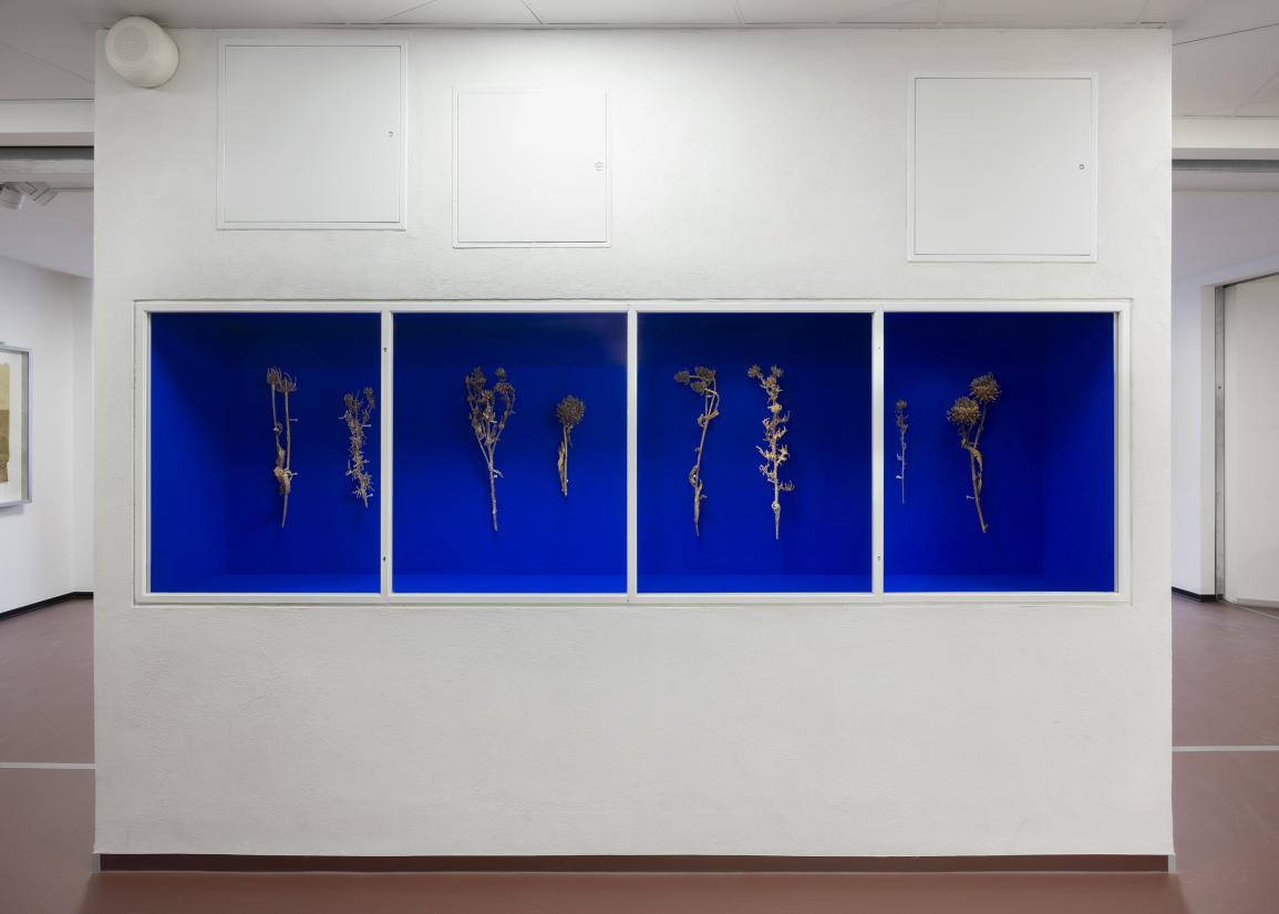 Nat Bloch Gregersen, Glitch Season, 2025, Odense Katedralskole. Foto: Malle Madsen