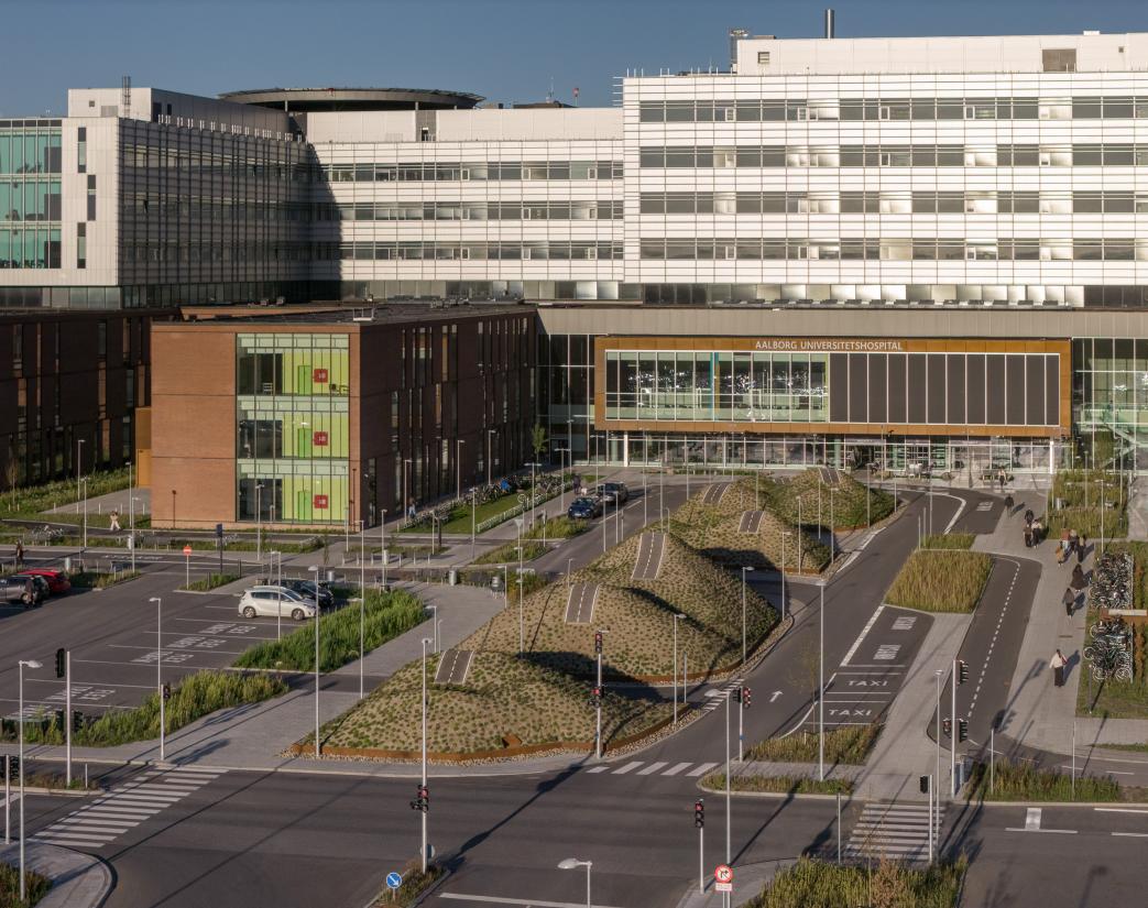 Nina Beier, Vejen. Aalborg Universitetshospital. Foto: Adam Mørk