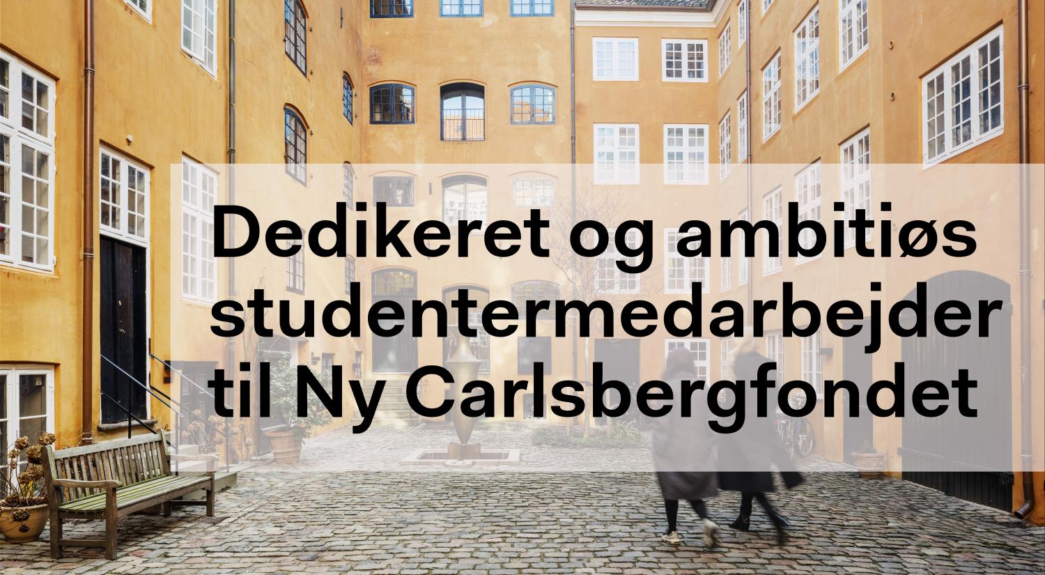 Studentermedarbejder til Ny Carlsbergfondet